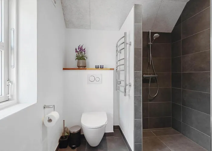 Bv337-blavand-vestermarken-10 Prázdninový dům